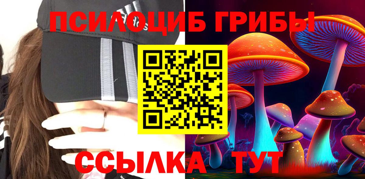 Галлюциногенные грибы ЛСД  Вход с VPN  Галлюциногенные грибы Psilocybine cubensis  Новоалександровск 