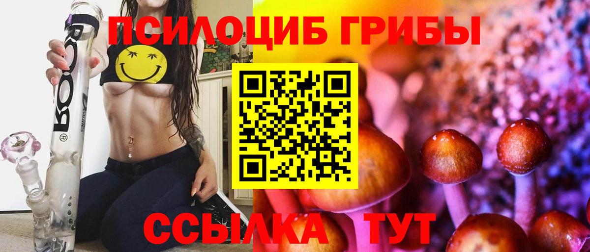 Галлюциногенные грибы Psilocybe Новоалександровск